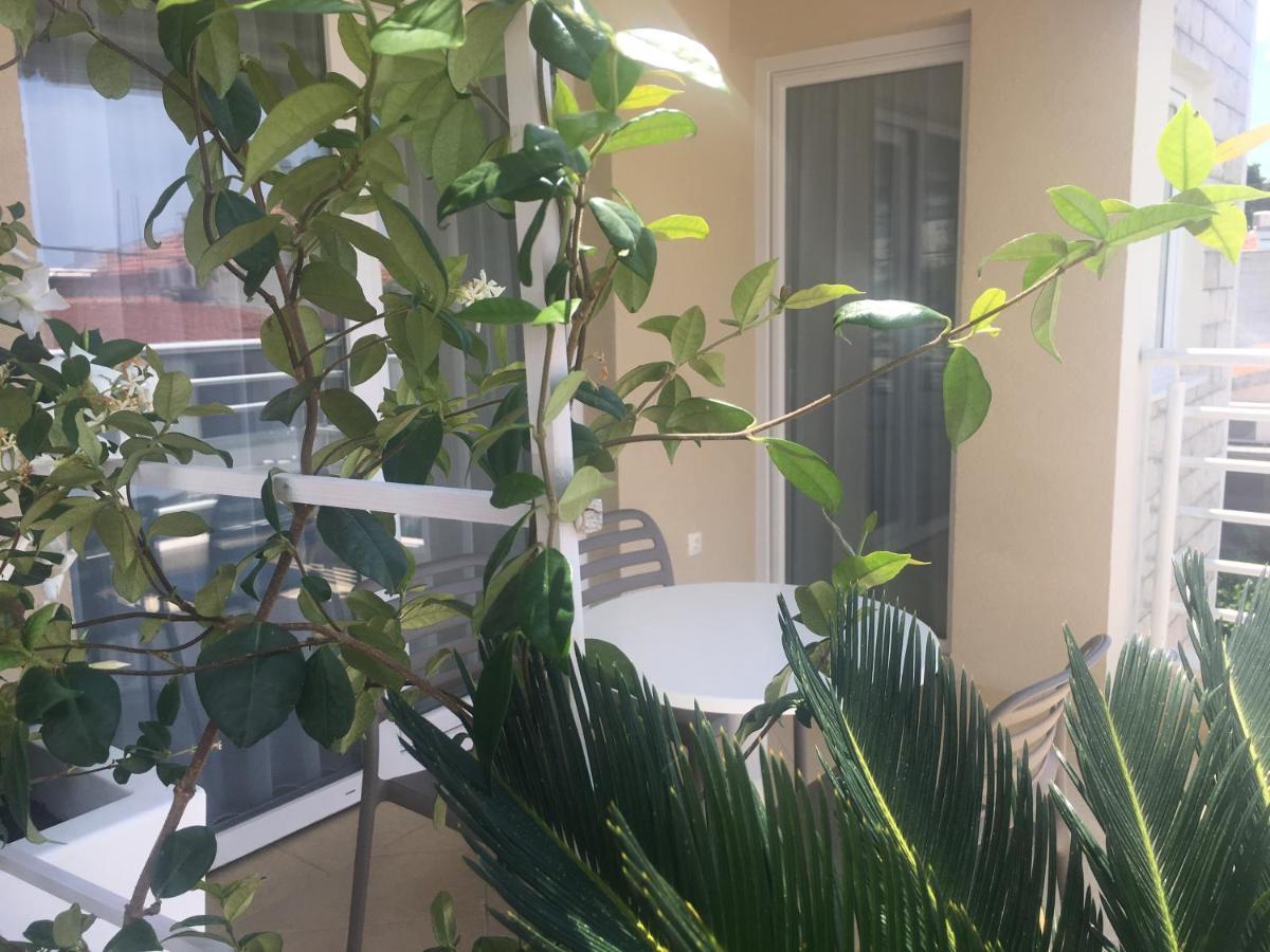 Rita Apartments - Sea-View Apartment 2Plus1 Tučepi المظهر الخارجي الصورة